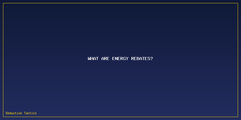 Energy Rebate Qualifications: What Are Energy Rebates?